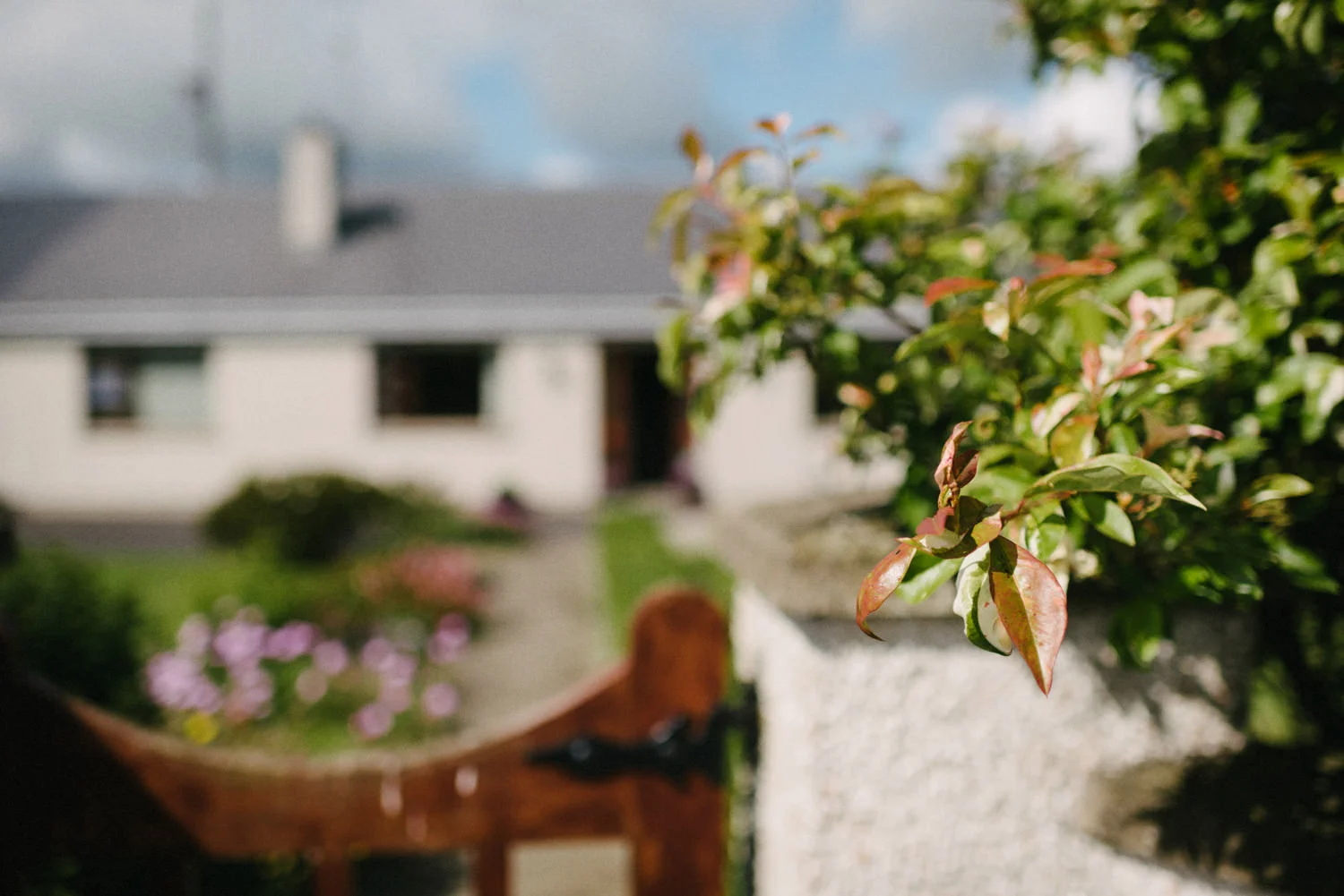  Wedding photography Northern Ireland Mary Catherine Cottage Mourne Mountains 