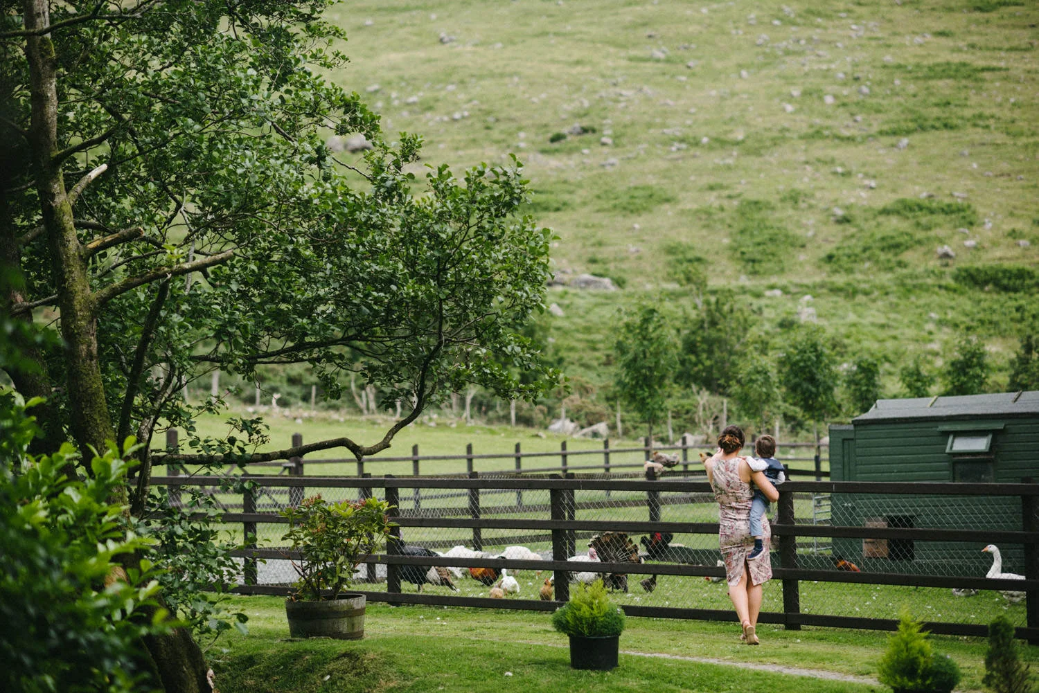  Wedding photography Northern Ireland Mary Catherine Cottage Mourne Mountains 