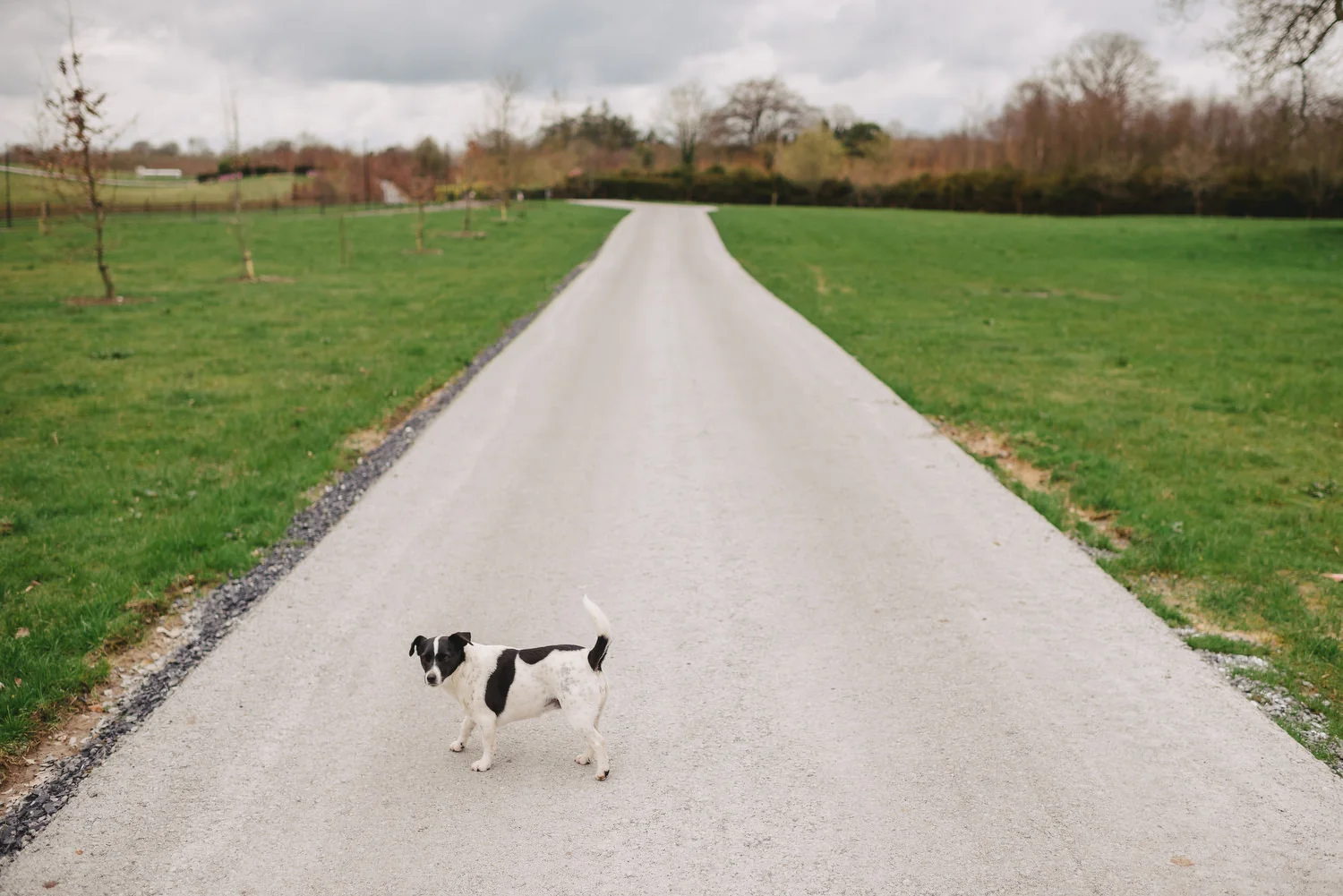  Mount Druid Ireland Wedding photos. Mount Druid wedding.  Boutique wedding venue in Ireland. Mullingar.  