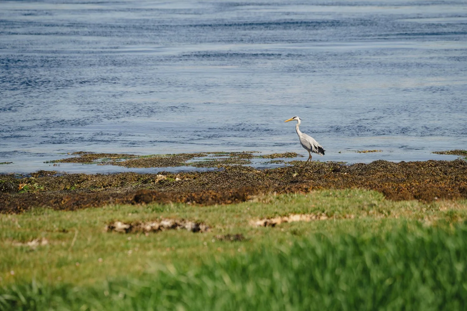 Old Court Wedding Photography Natalie and Connor 036.JPG
