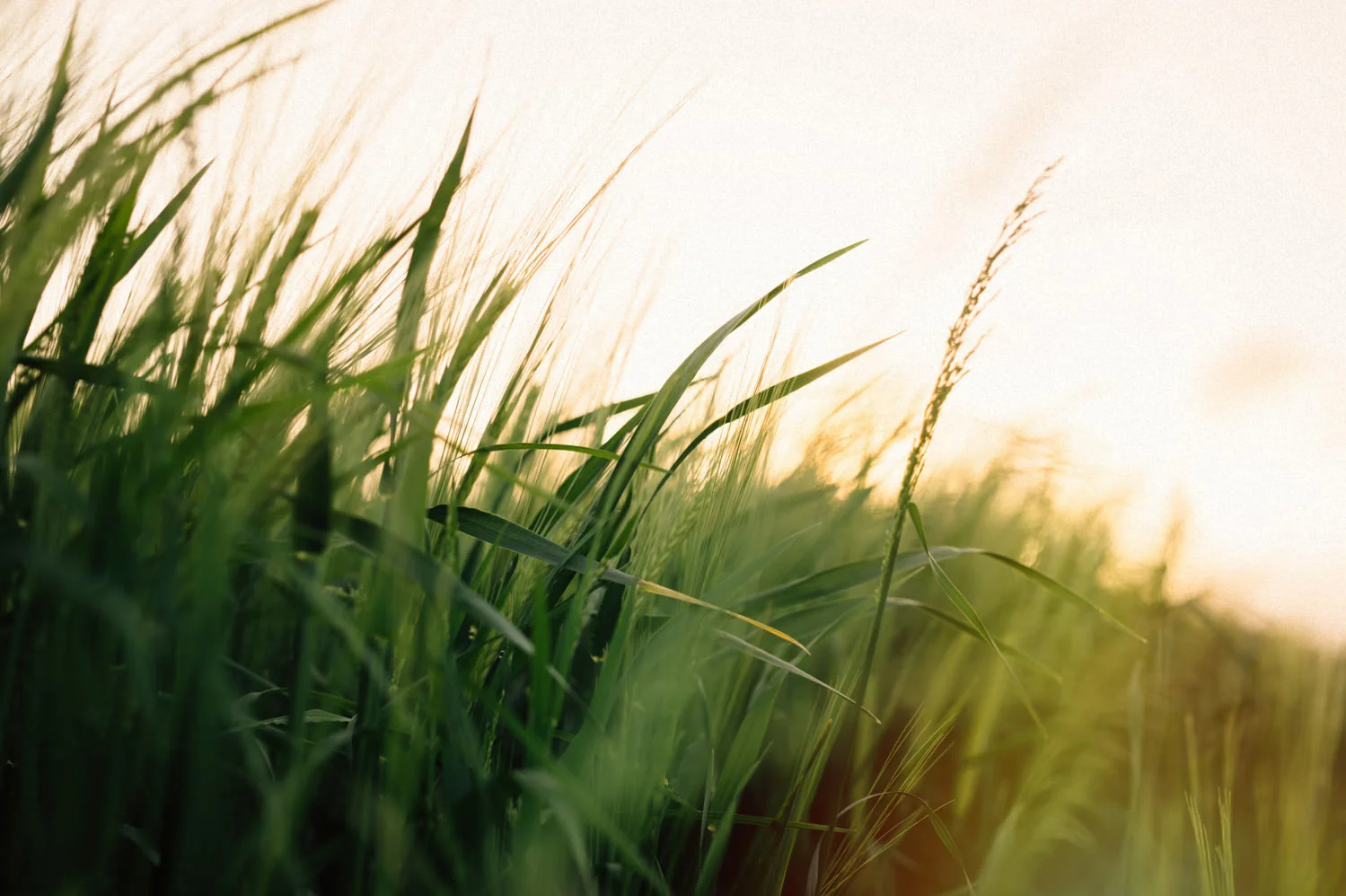 Northern Ireland Alternative Wedding Photographers Photography 