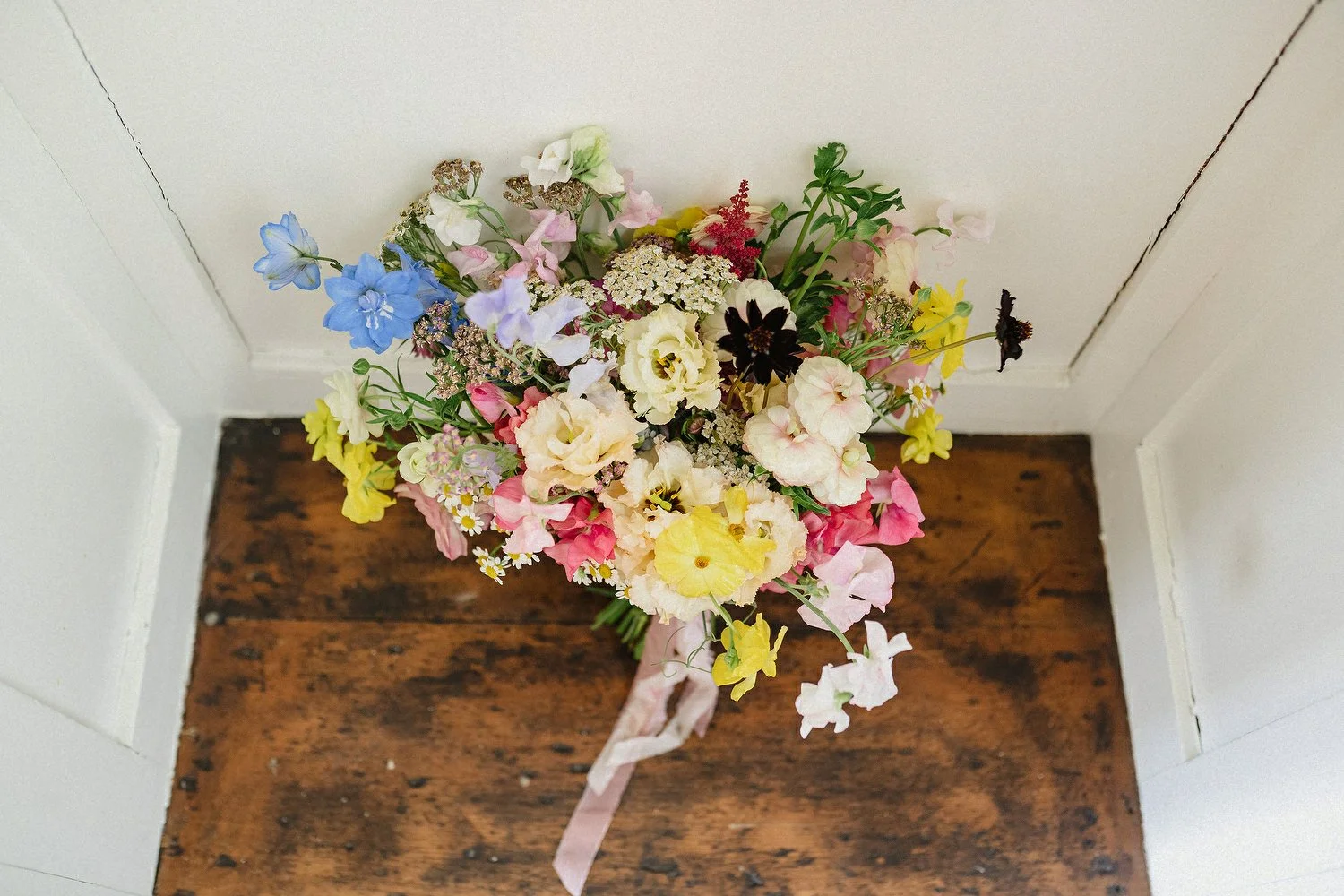 Caoimhe and Robby 0125.JPG