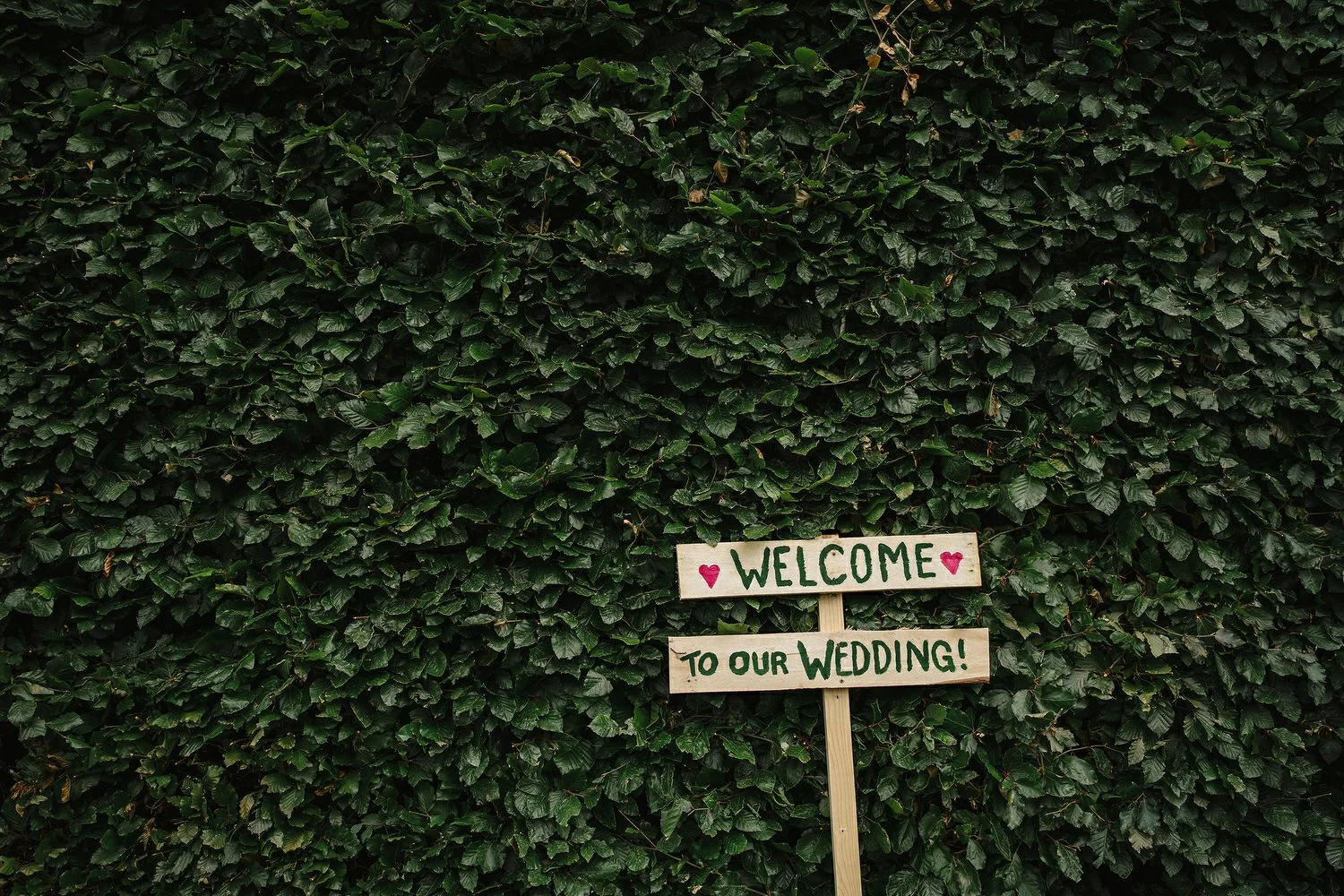 Caoimhe and Robby 0216.JPG