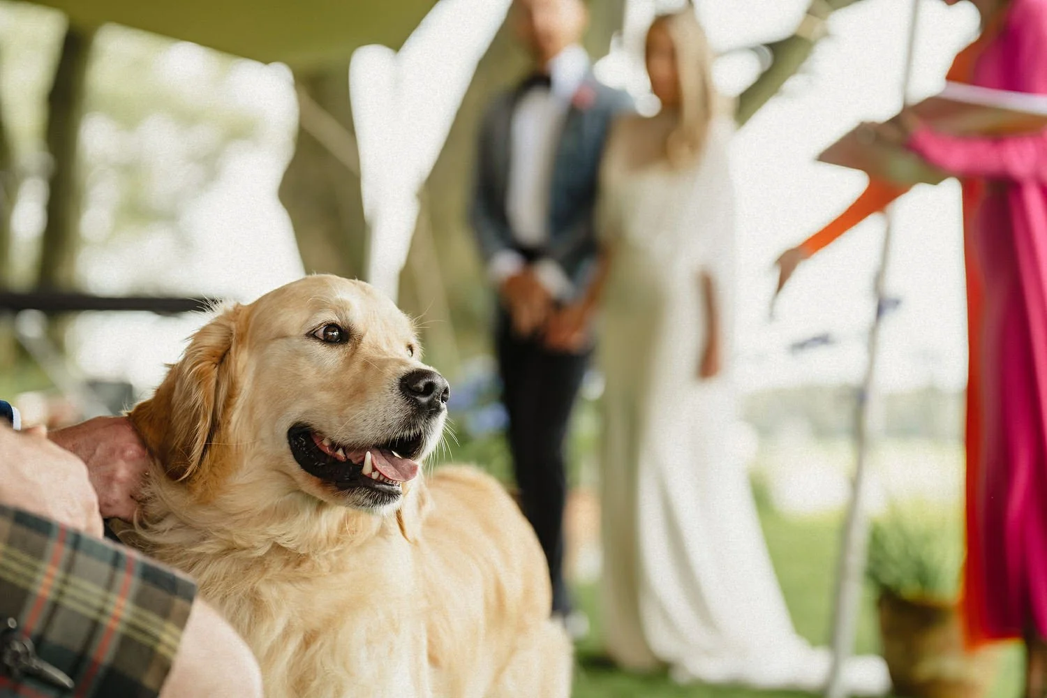 Caoimhe and Robby 0392.JPG