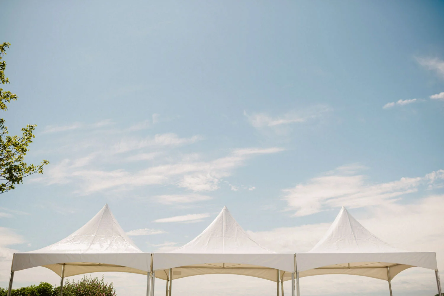 Orange Tree House Wedding Photography, Greyabbey Northern Ireland Photographers. 