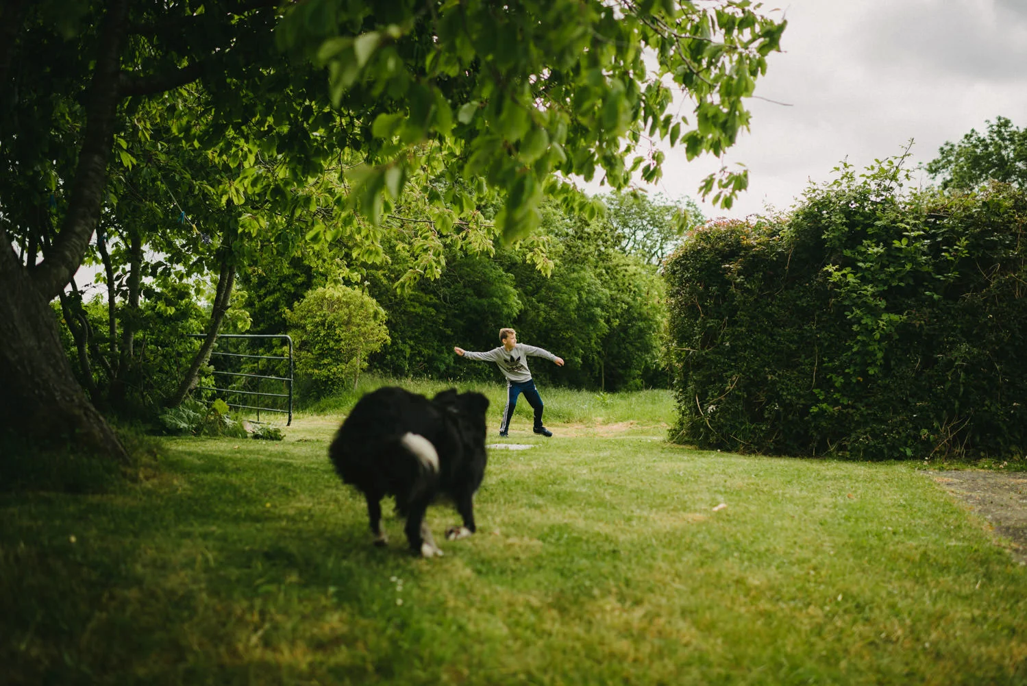  Orange Tree House Wedding Photography, Greyabbey Northern Ireland Photographers. 