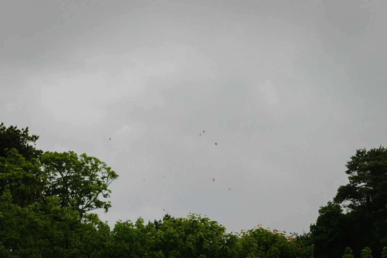  Orange Tree House Wedding Photography, Greyabbey Northern Ireland Photographers. 