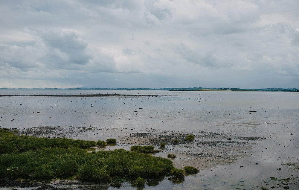Orange Tree House Wedding Photography Northern Ireland 180.GIF
