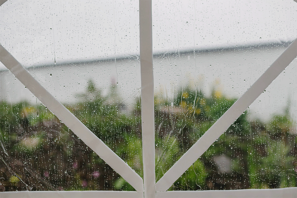 Orange Tree House Wedding Photography Northern Ireland 150.GIF