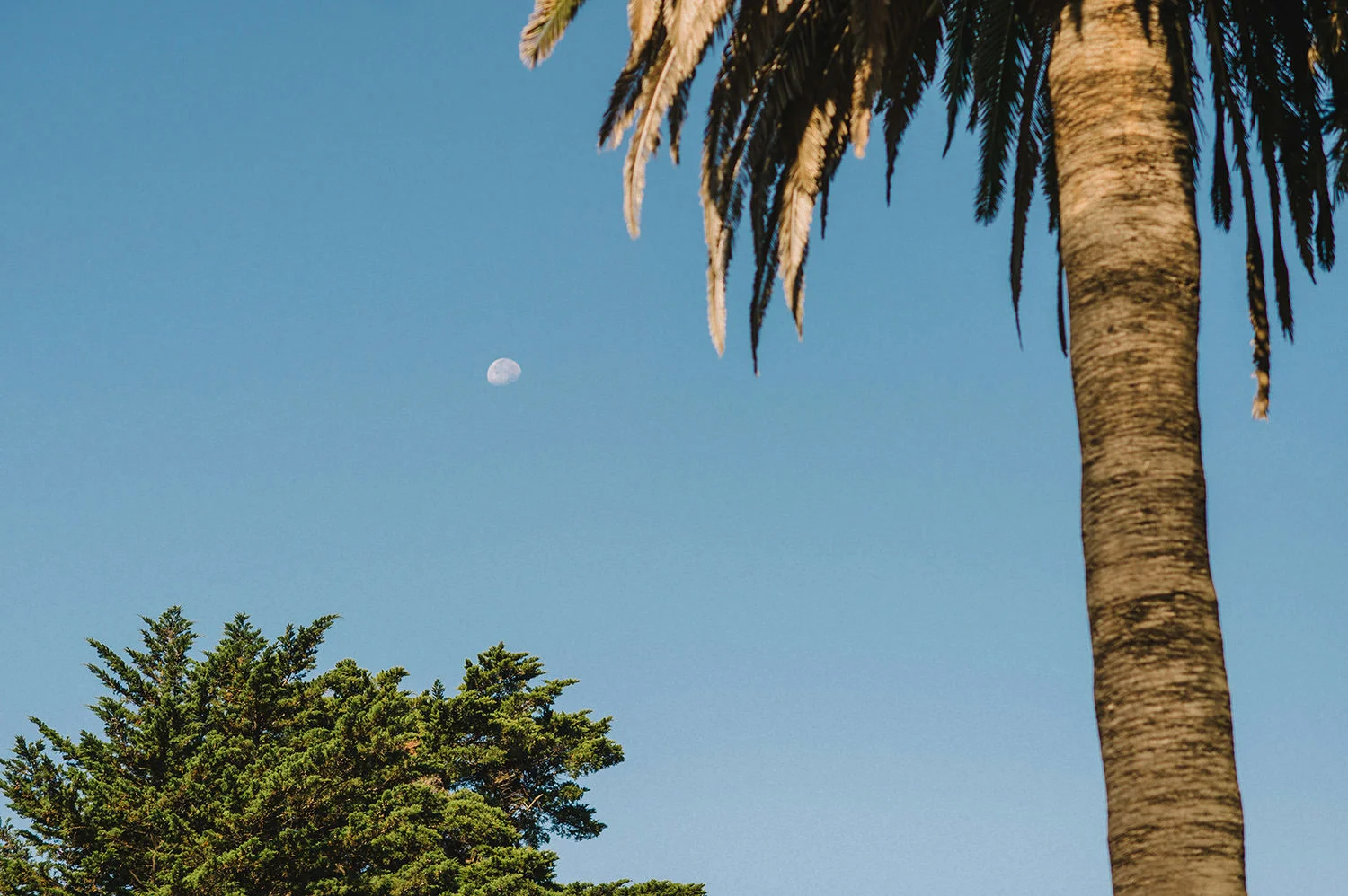  English speaking wedding photographers Cascais, Lisbon, Portugal. 