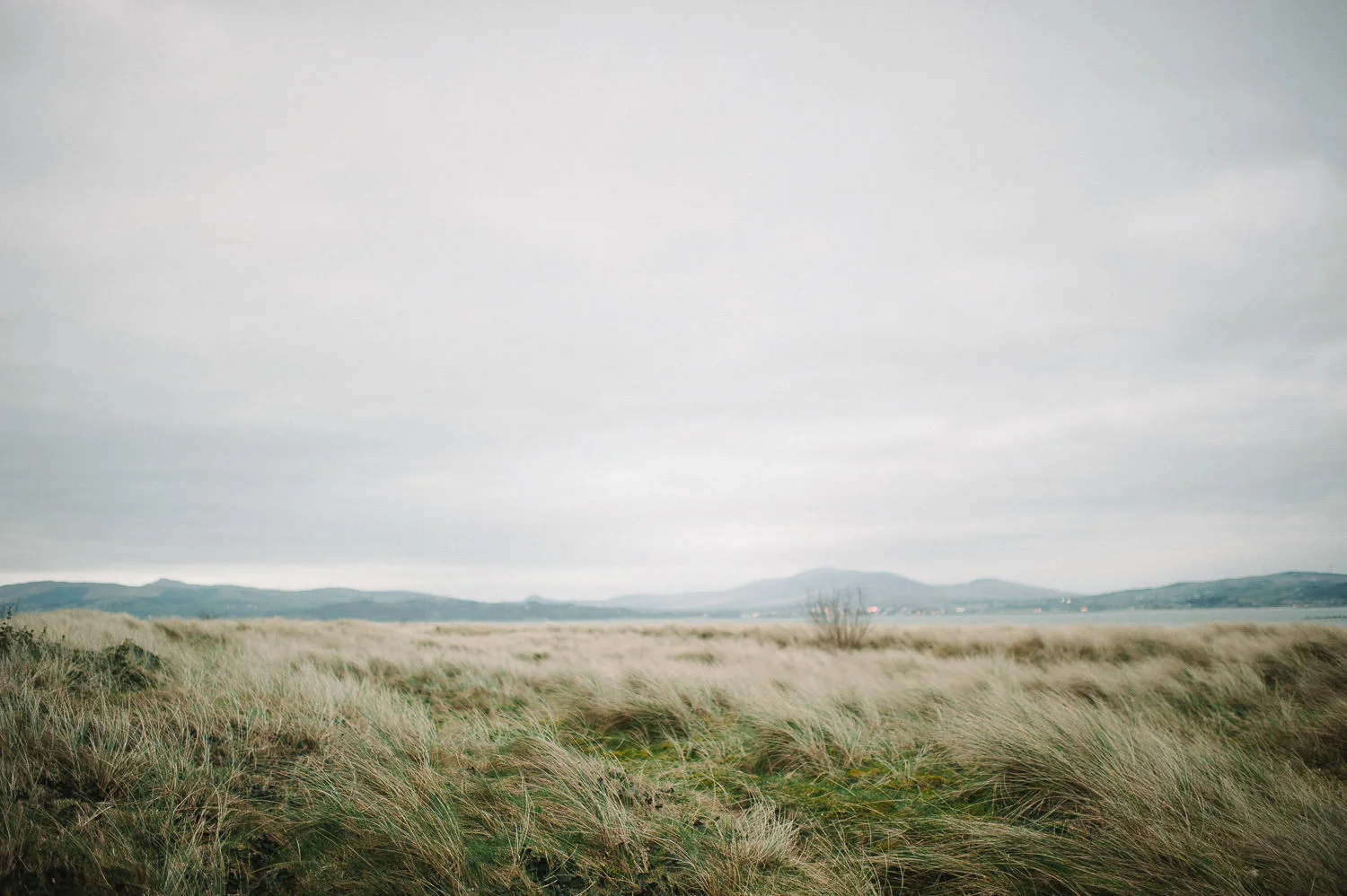  Alternative Belfast Northern Ireland and European Destination Wedding Photographers 