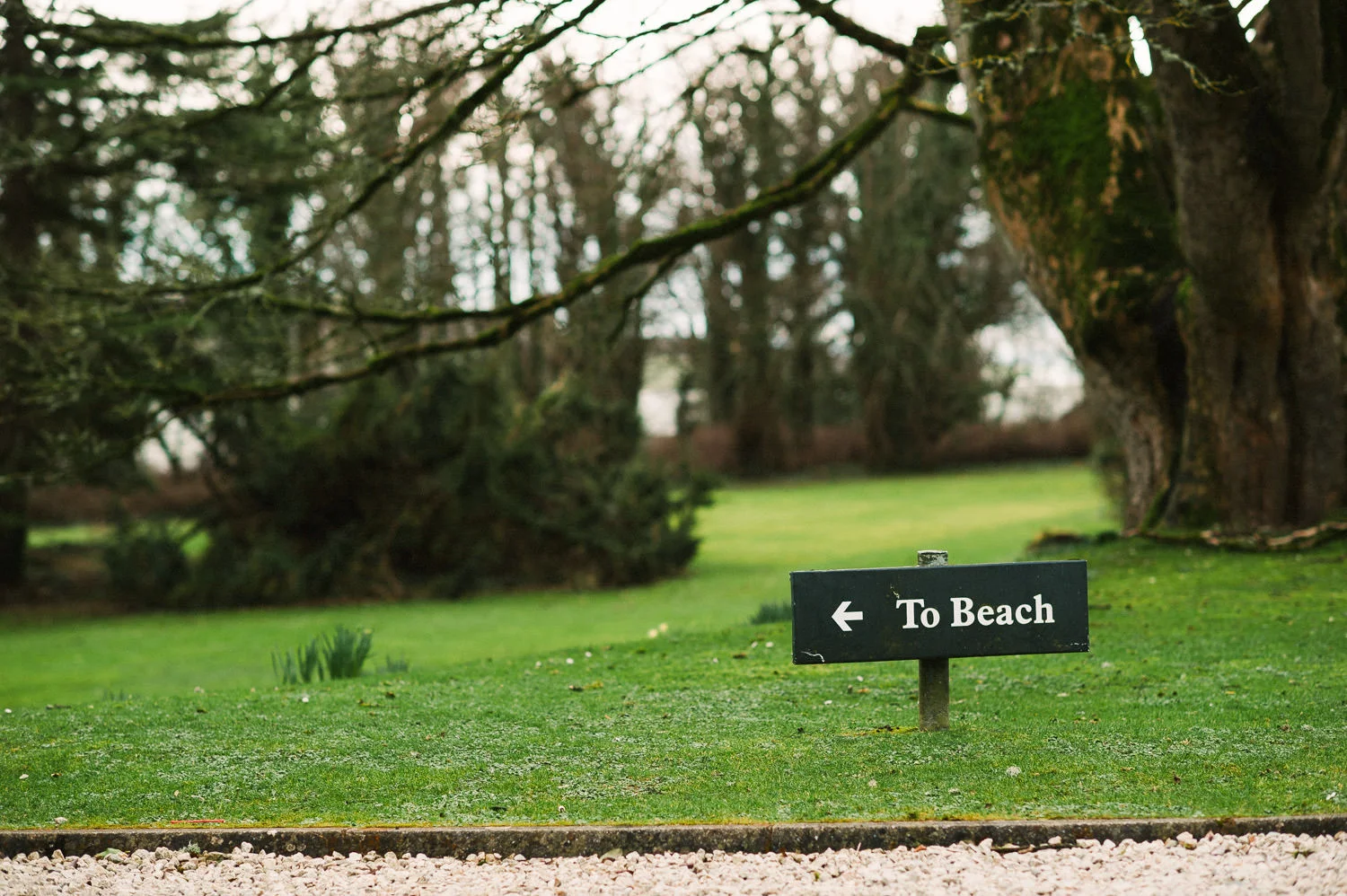  Alternative Belfast Northern Ireland and European Destination Wedding Photographers 