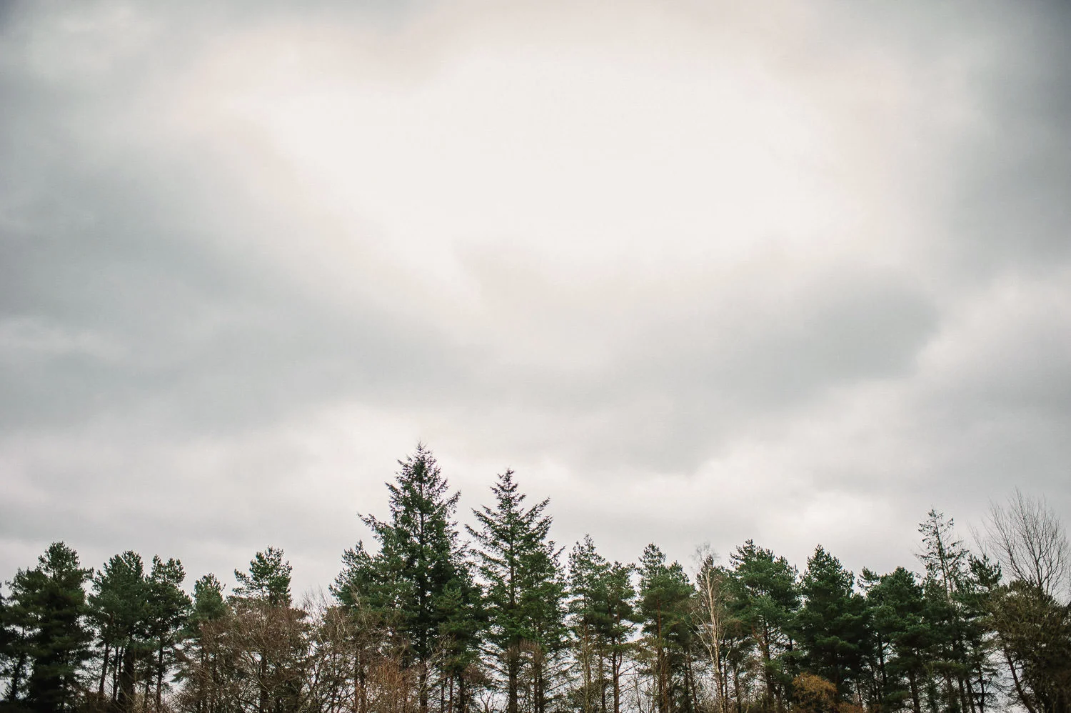  Alternative Belfast Northern Ireland and European Destination Wedding Photographers 