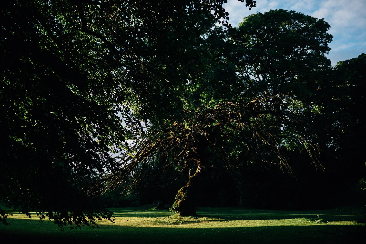 Rathmullan House Wedding Photos 184.JPG