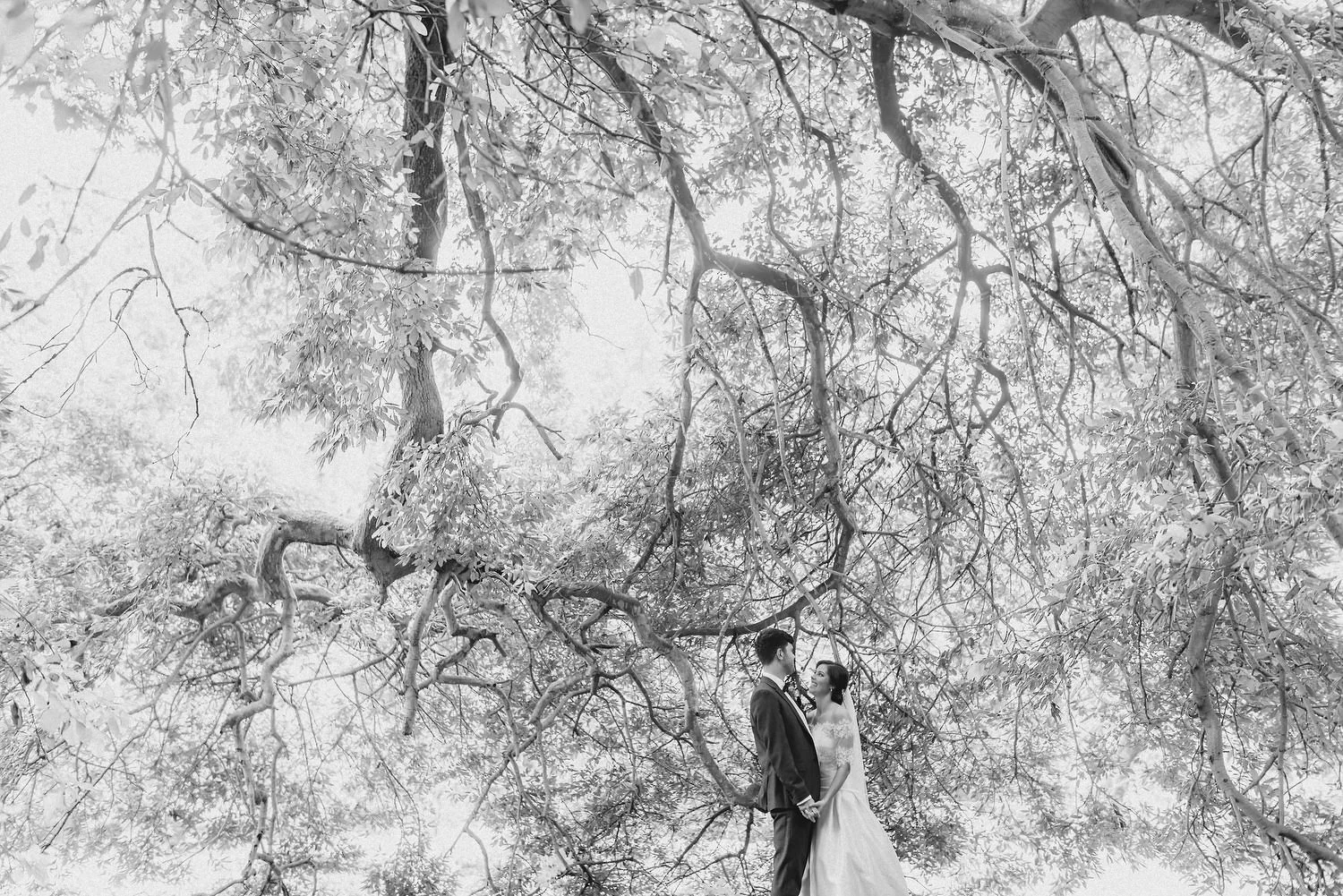 Rathmullan House Wedding Photos 117.JPG