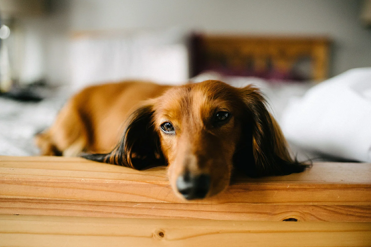  St. Malachy's Church George's Market Wedding Photos Belfast 