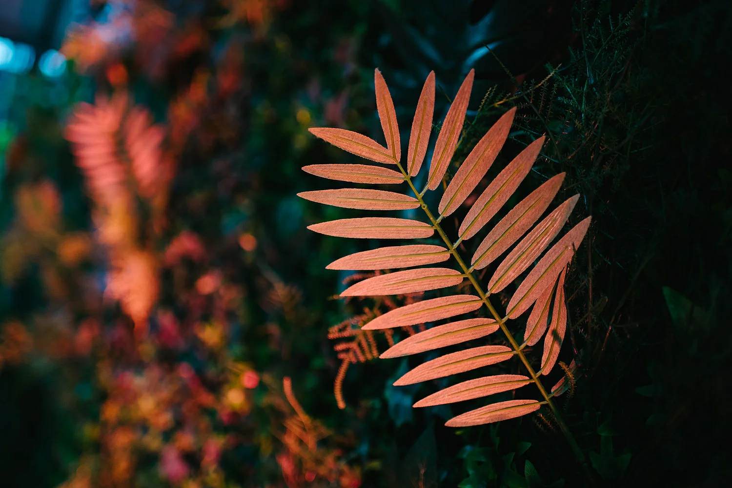  St. Malachy's Church George's Market Wedding Photos Belfast 