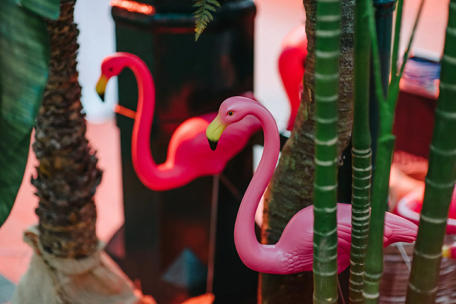  St. Malachy's Church George's Market Wedding Photos Belfast 