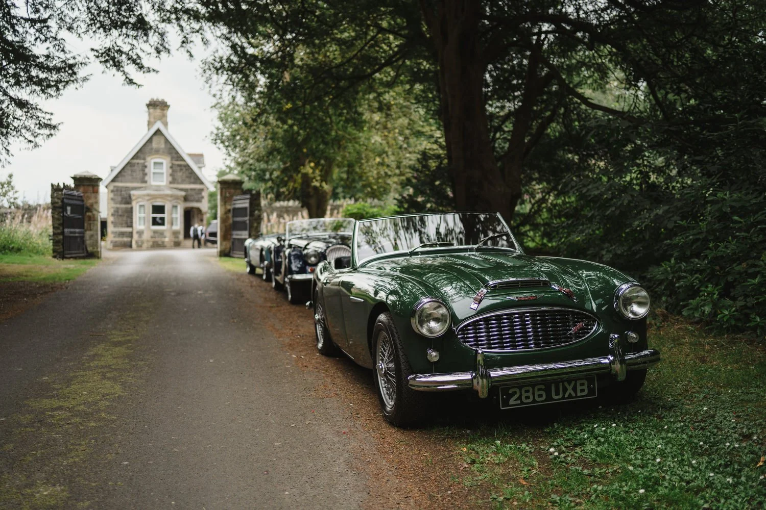 Aaron and Susie Larchfield Estate Wedding 014.JPG