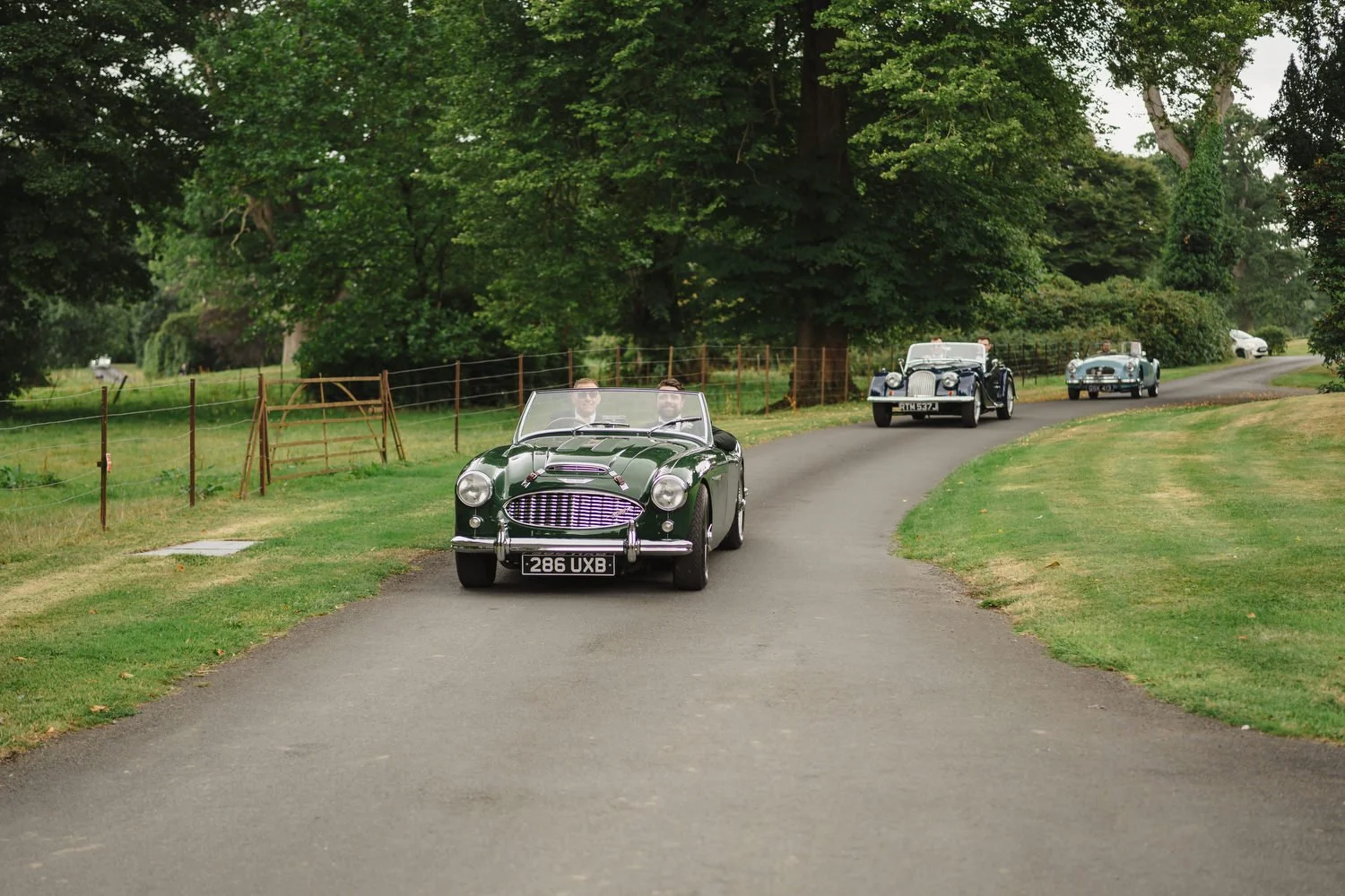 Aaron and Susie Larchfield Estate Wedding 027.JPG