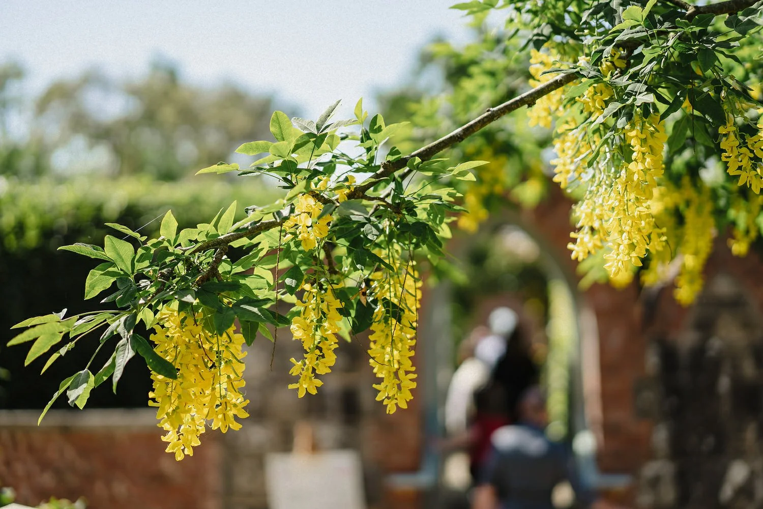 Tullyveery House Wedding Photos 111.JPG