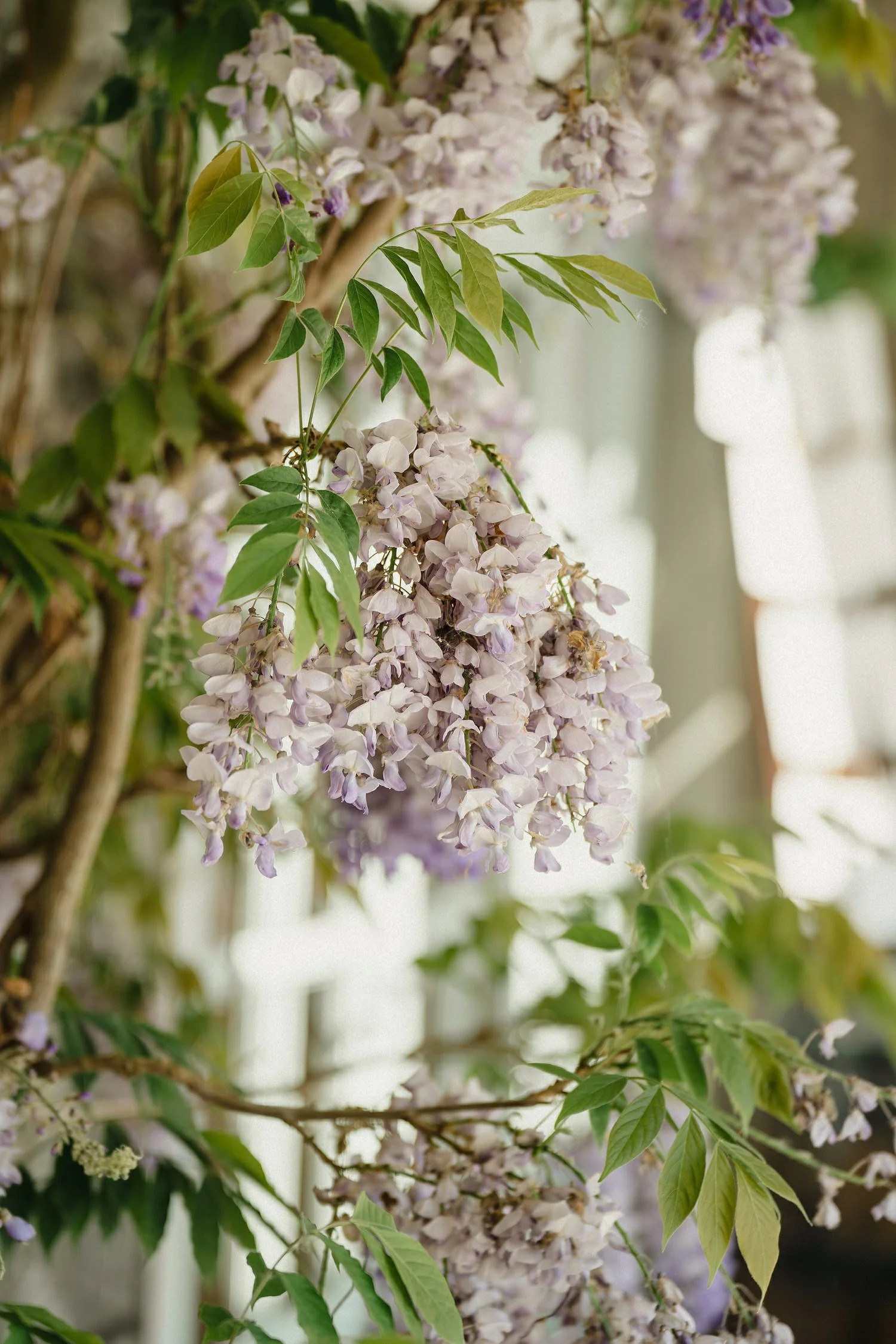 Tullyveery House Wedding Photos 119.JPG