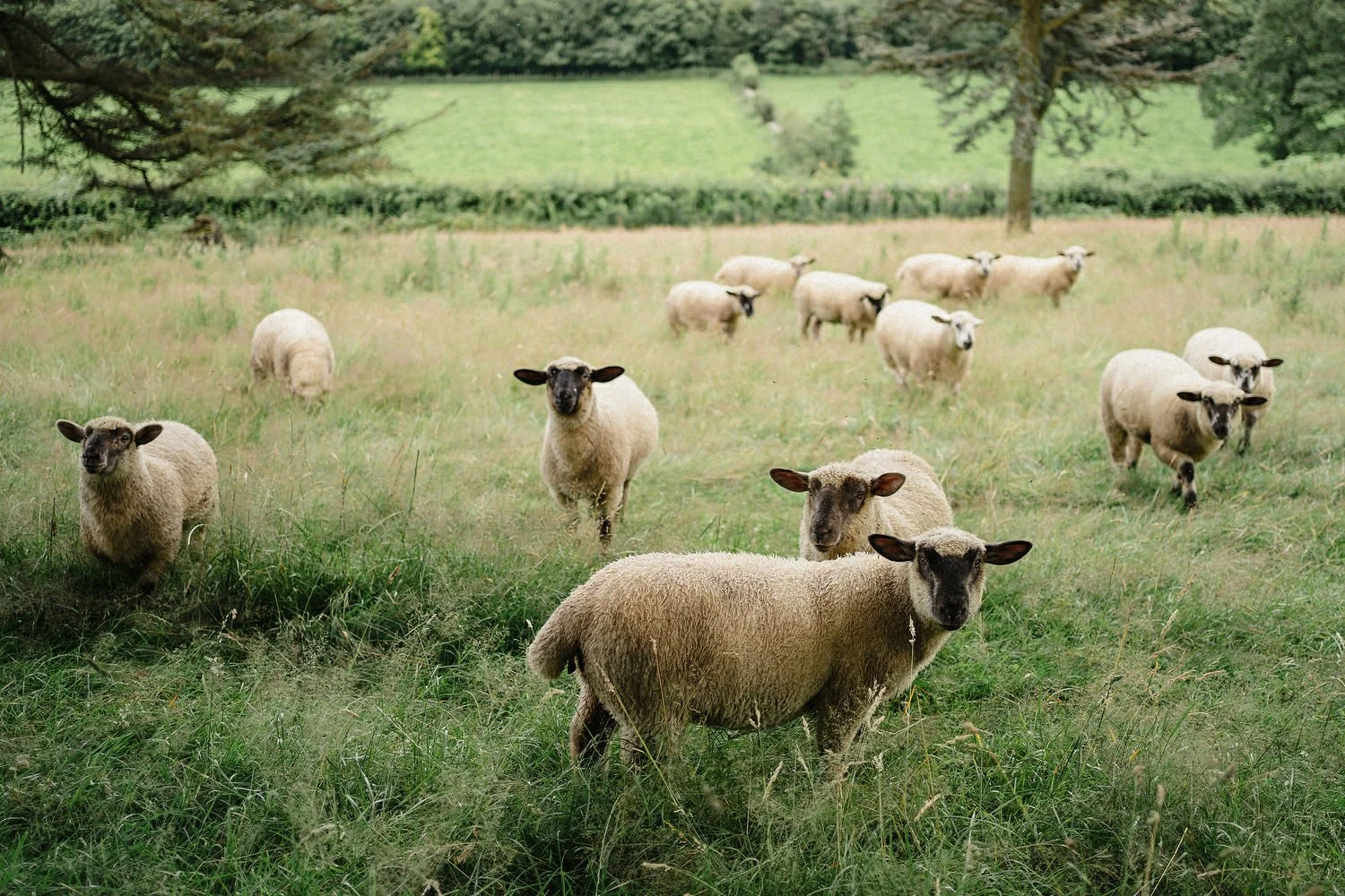 Tullyveery House Wedding Photographs 081.JPG