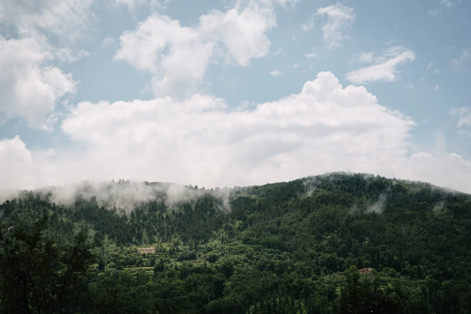  Tuscany, Italy, Florence, Pisa,  English Speaking Wedding Photographers 