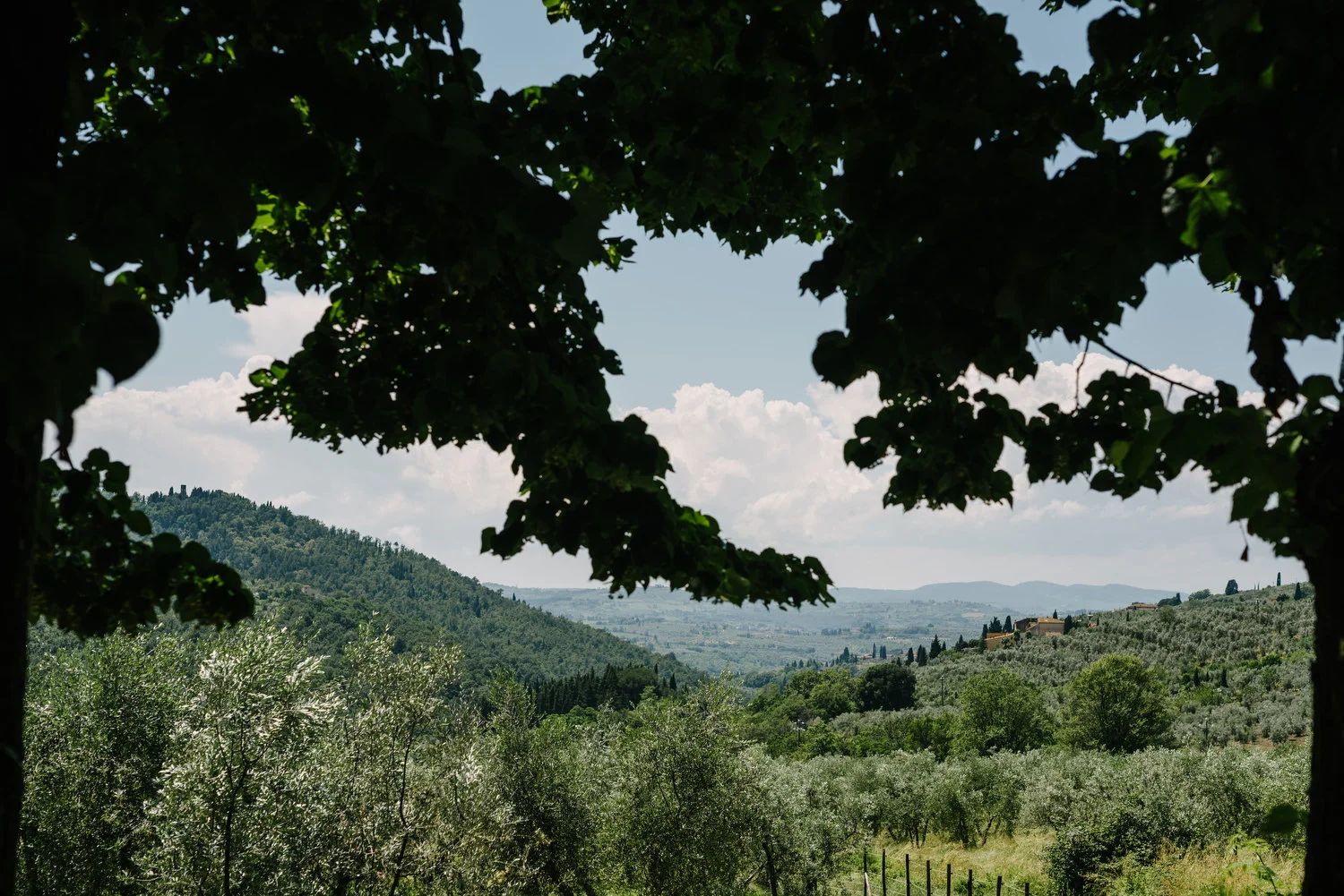  Tuscany, Italy, Florence, Pisa,  English Speaking Wedding Photographers 