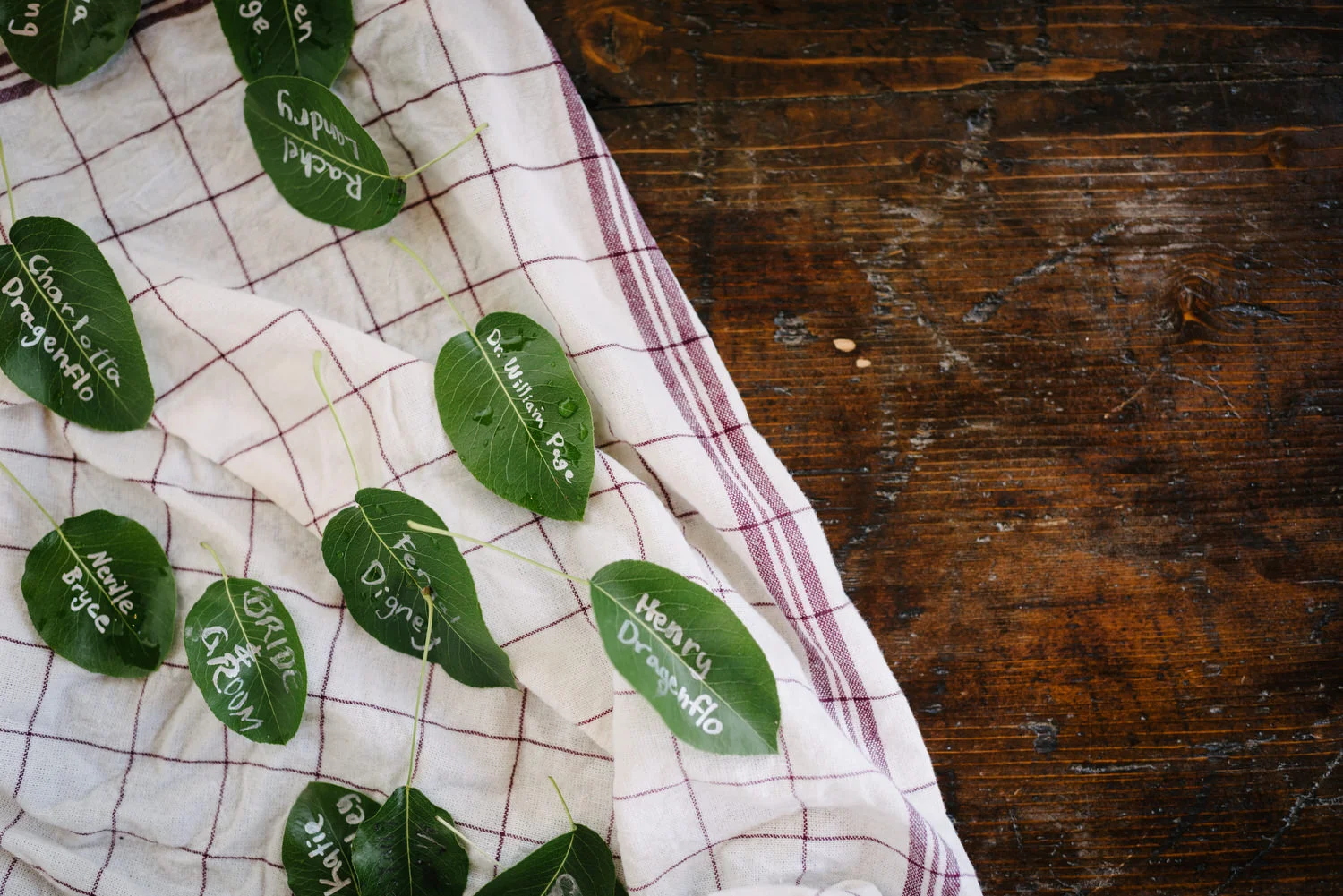  Tuscany, Italy, Florence, Pisa,  English Speaking Wedding Photographers 