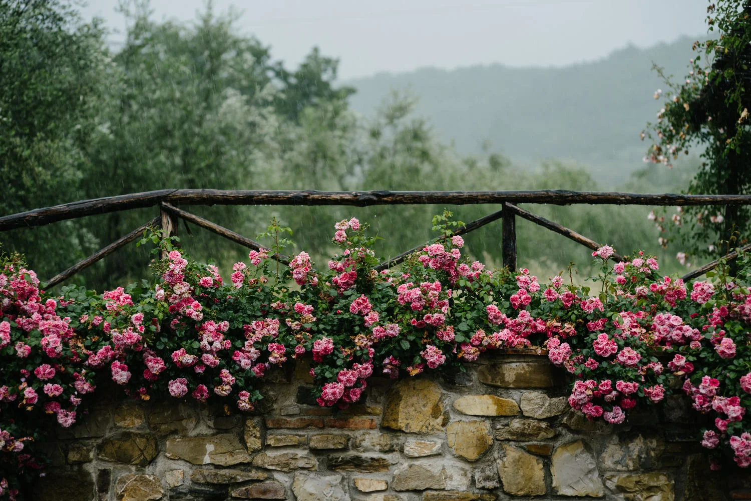  Tuscany, Italy, Florence, Pisa,  English Speaking Wedding Photographers 