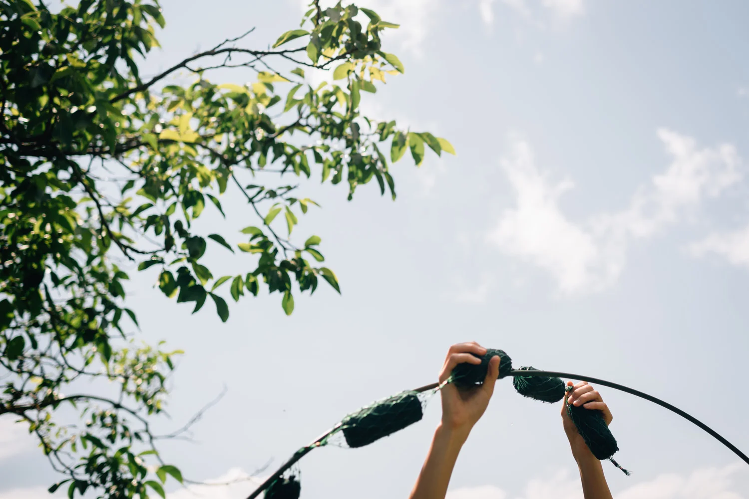  Tuscany, Italy, Florence, Pisa,  English Speaking Wedding Photographers 