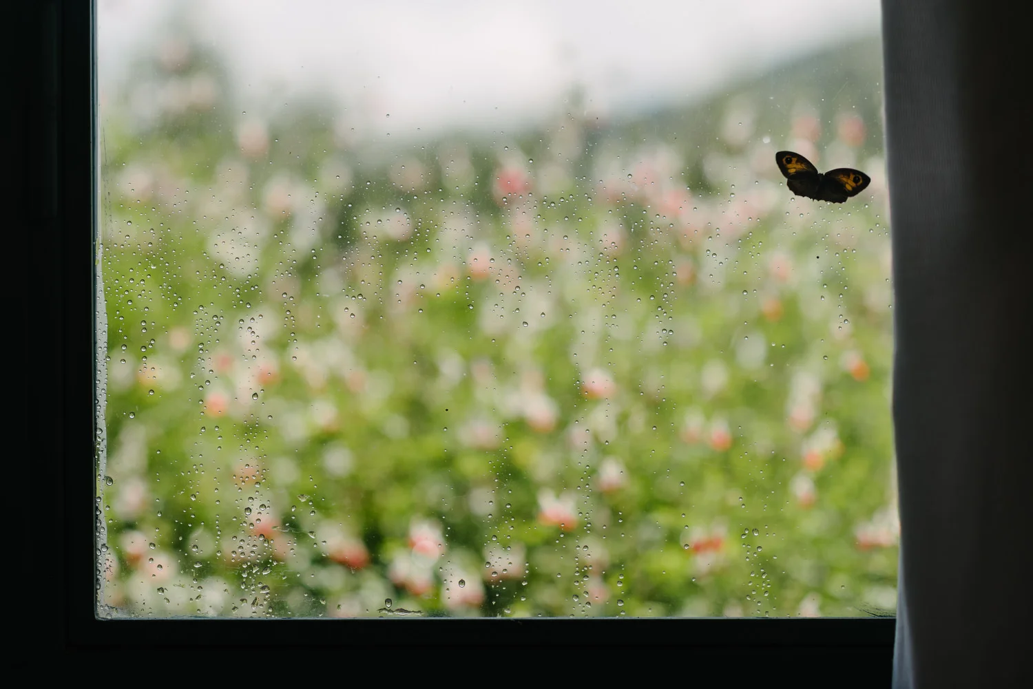  Tuscany, Italy, Florence, Pisa,  English Speaking Wedding Photographers 