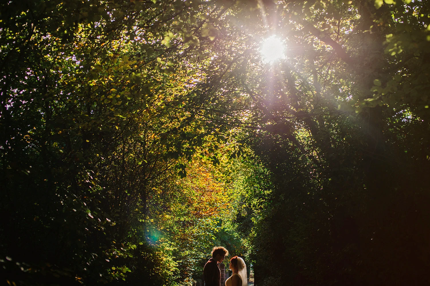 Ireland autumn wedding.JPG