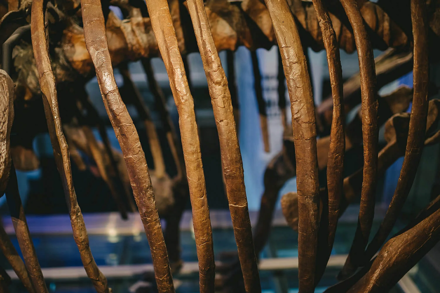 Ulster Museum Wedding Photos 148.JPG