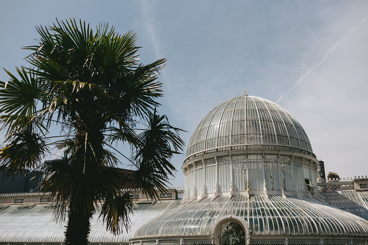 Ulster Museum Wedding Photos 090.JPG