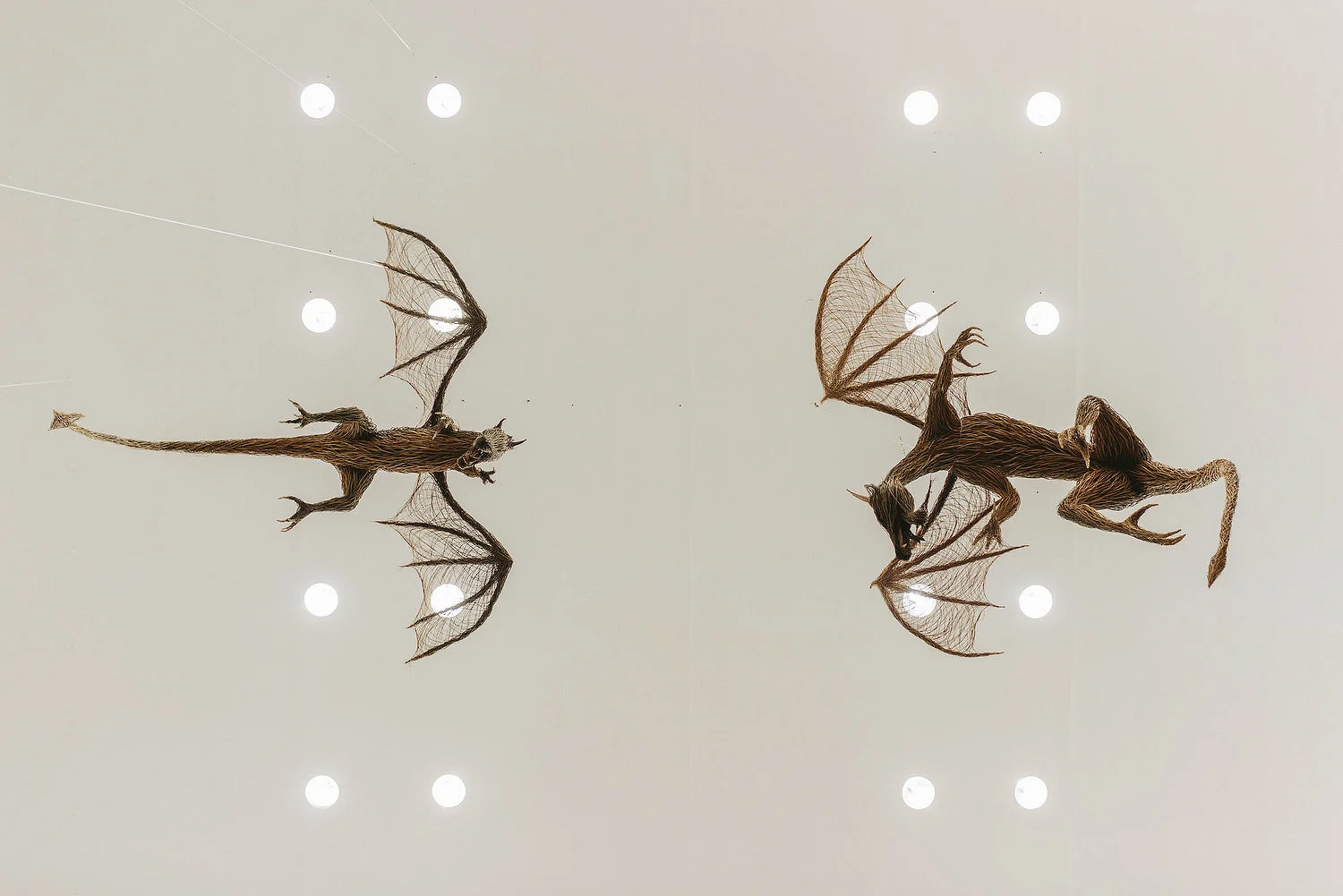 Ulster Museum Wedding Photos 174.JPG