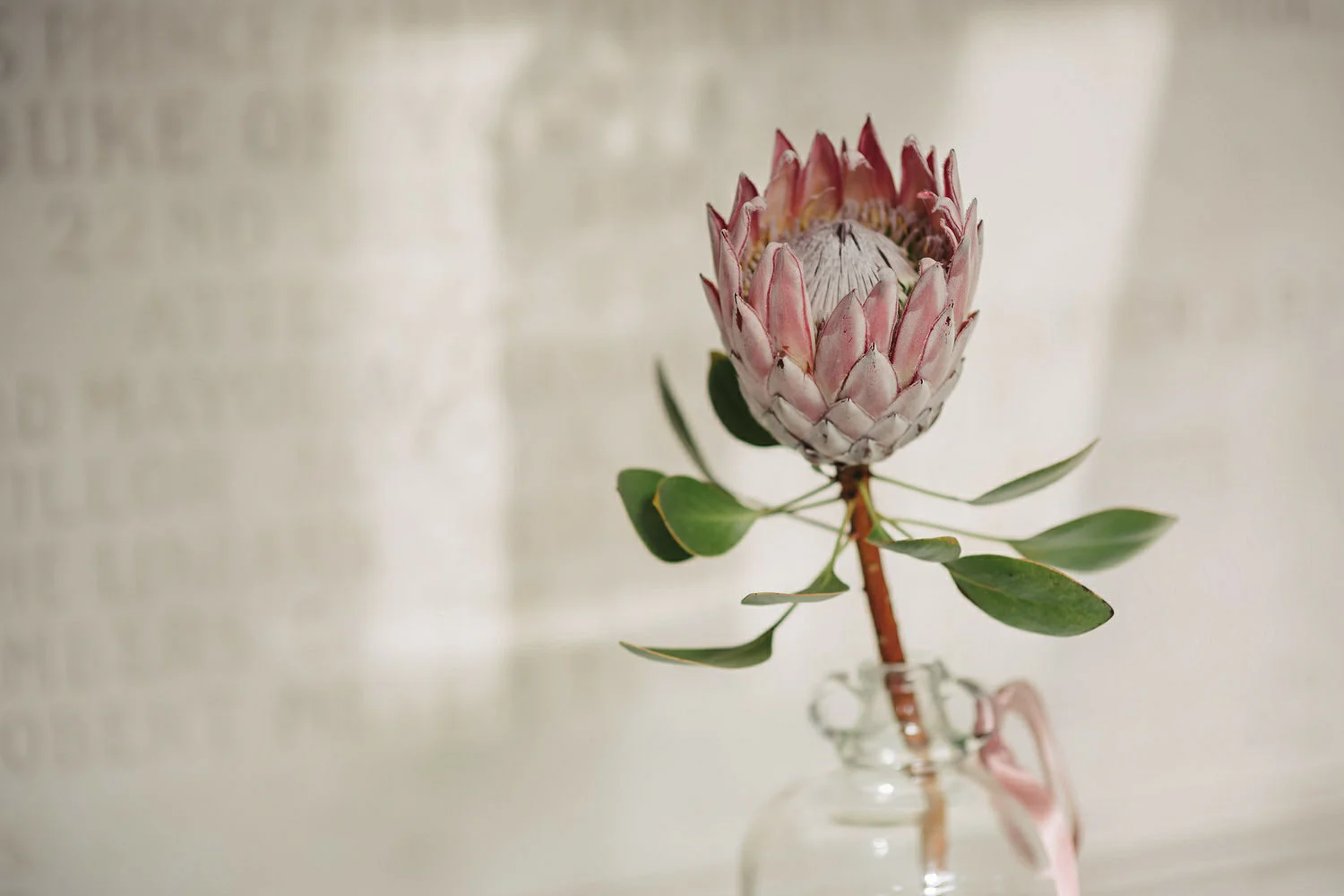 Ulster Museum Wedding Photos 173.JPG