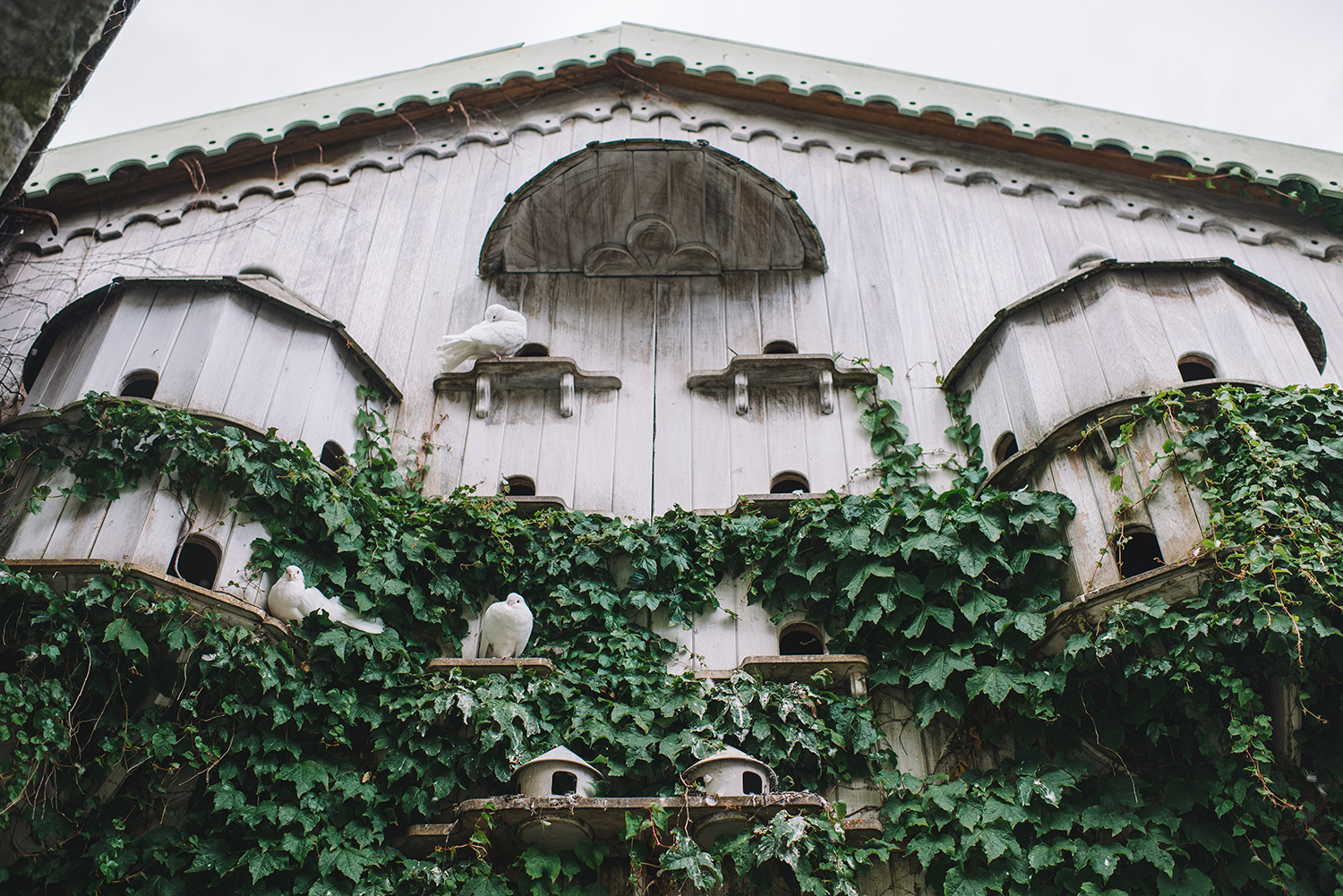 Village at Lyons Wedding Photography 071.JPG