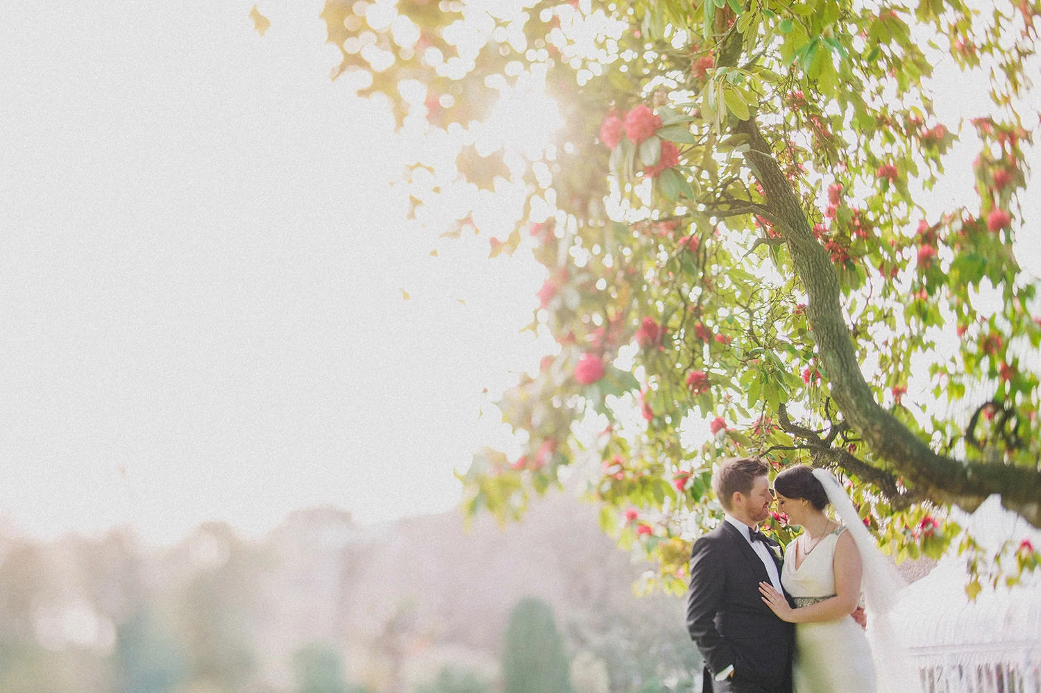  Creative and Alternative Wedding Photographers Northern Ireland 