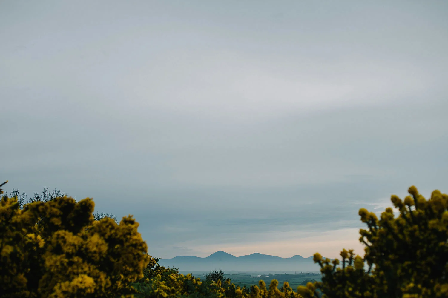  Creative and Alternative Wedding Photographers Northern Ireland 