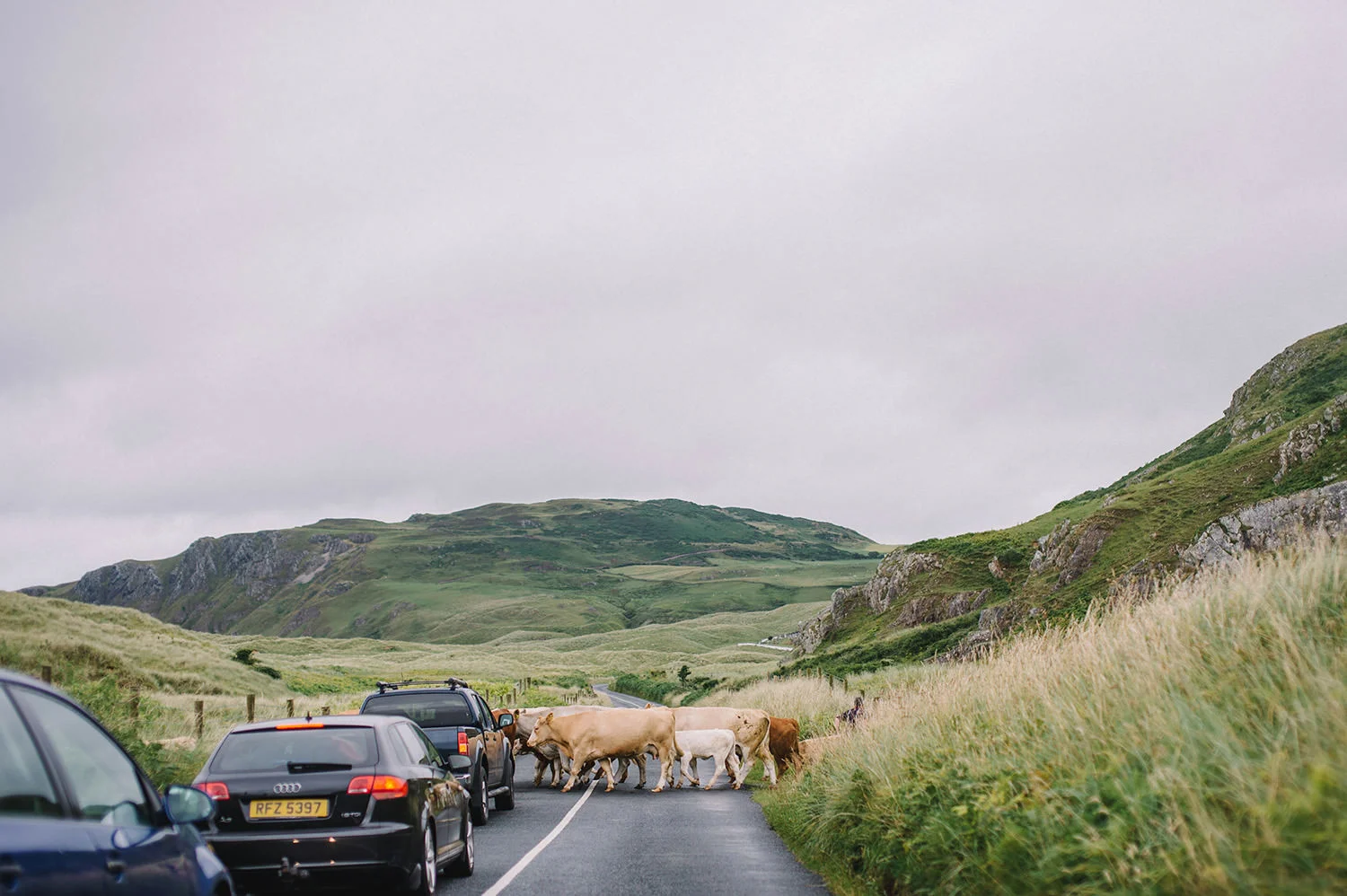  Creative and Alternative Wedding Photographers Northern Ireland 