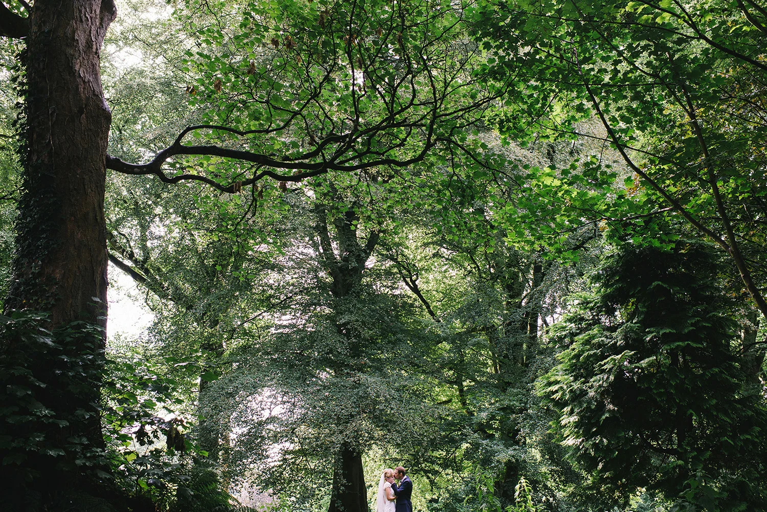2014 Weddings