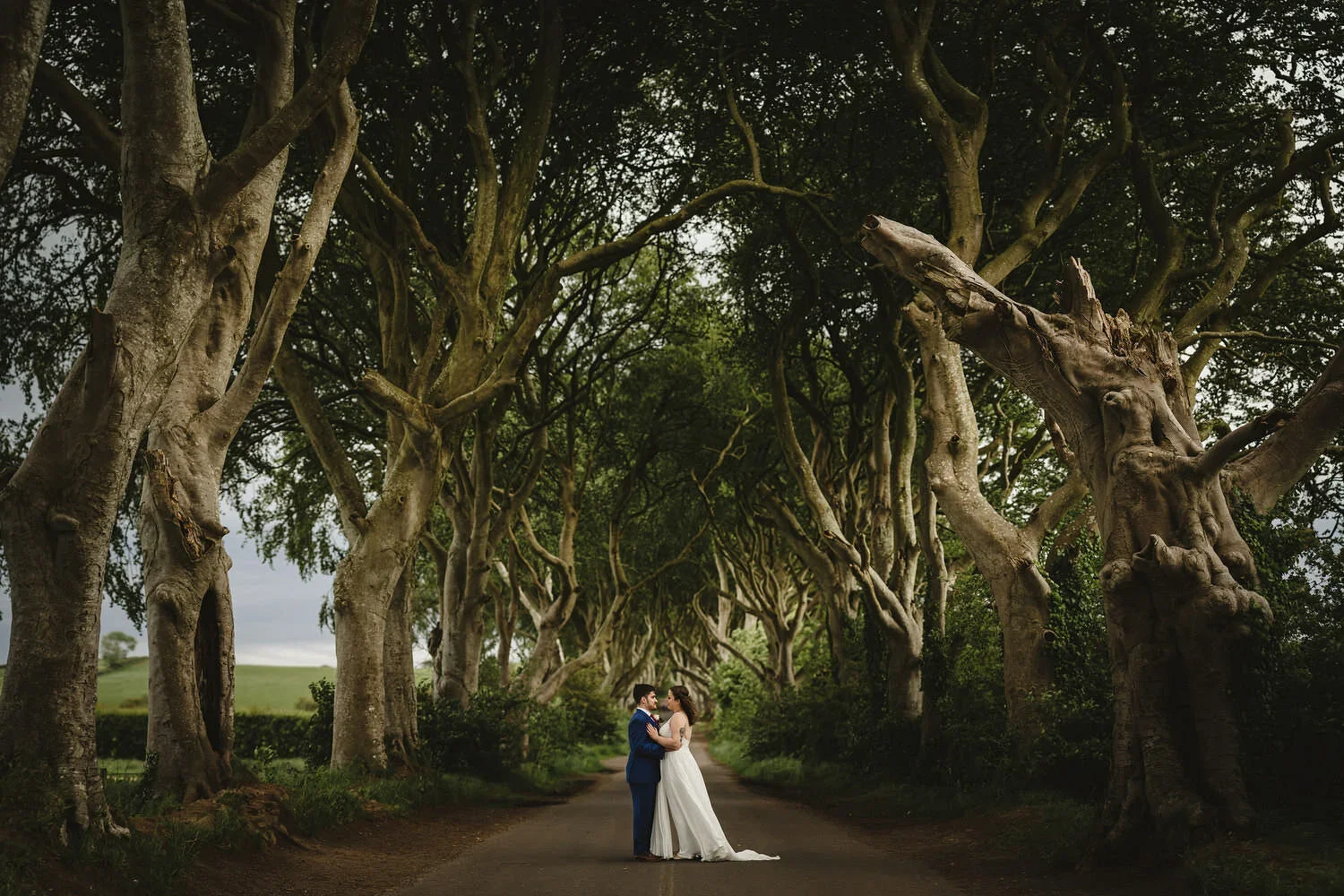 Dark Hedges Elopement in Northern Ireland