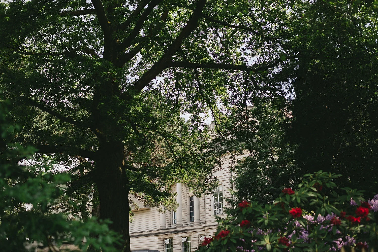 Ulster Museum belfast nestled among the trees of Botanic Gardens