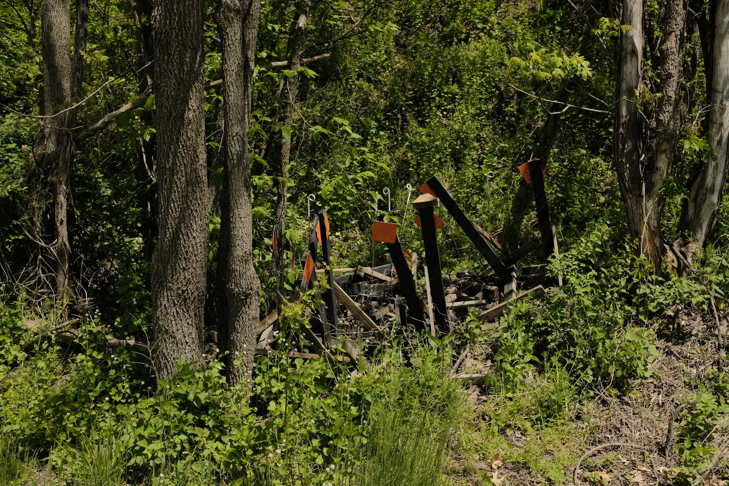 DSCF2087.JPG