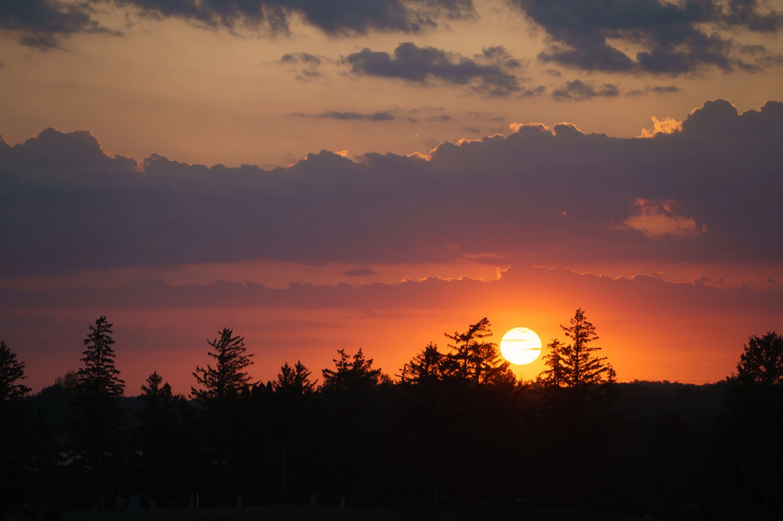 DSC00172.jpg