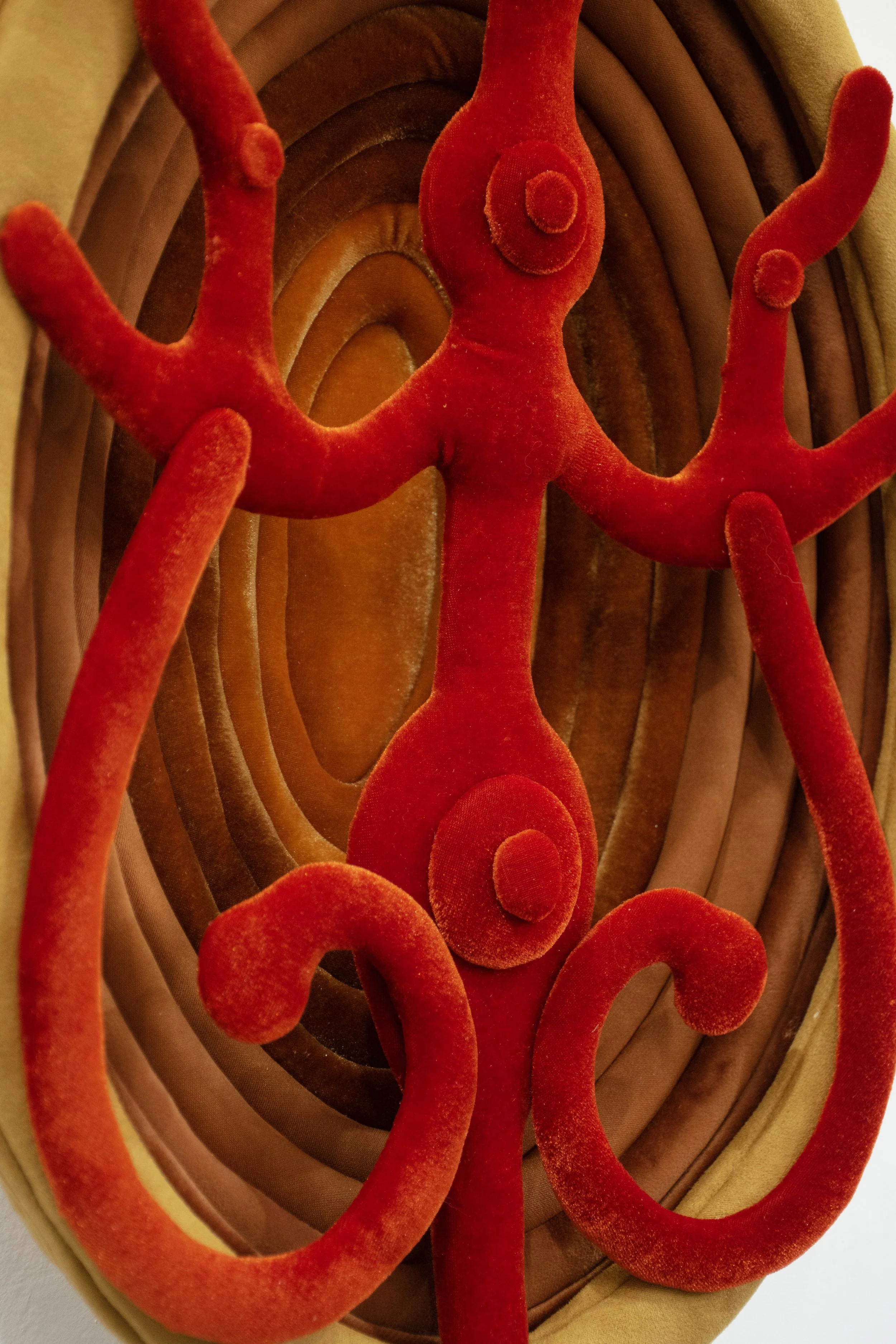 Lua Telluris, 2024
Série: "Imagens preenchedoras"