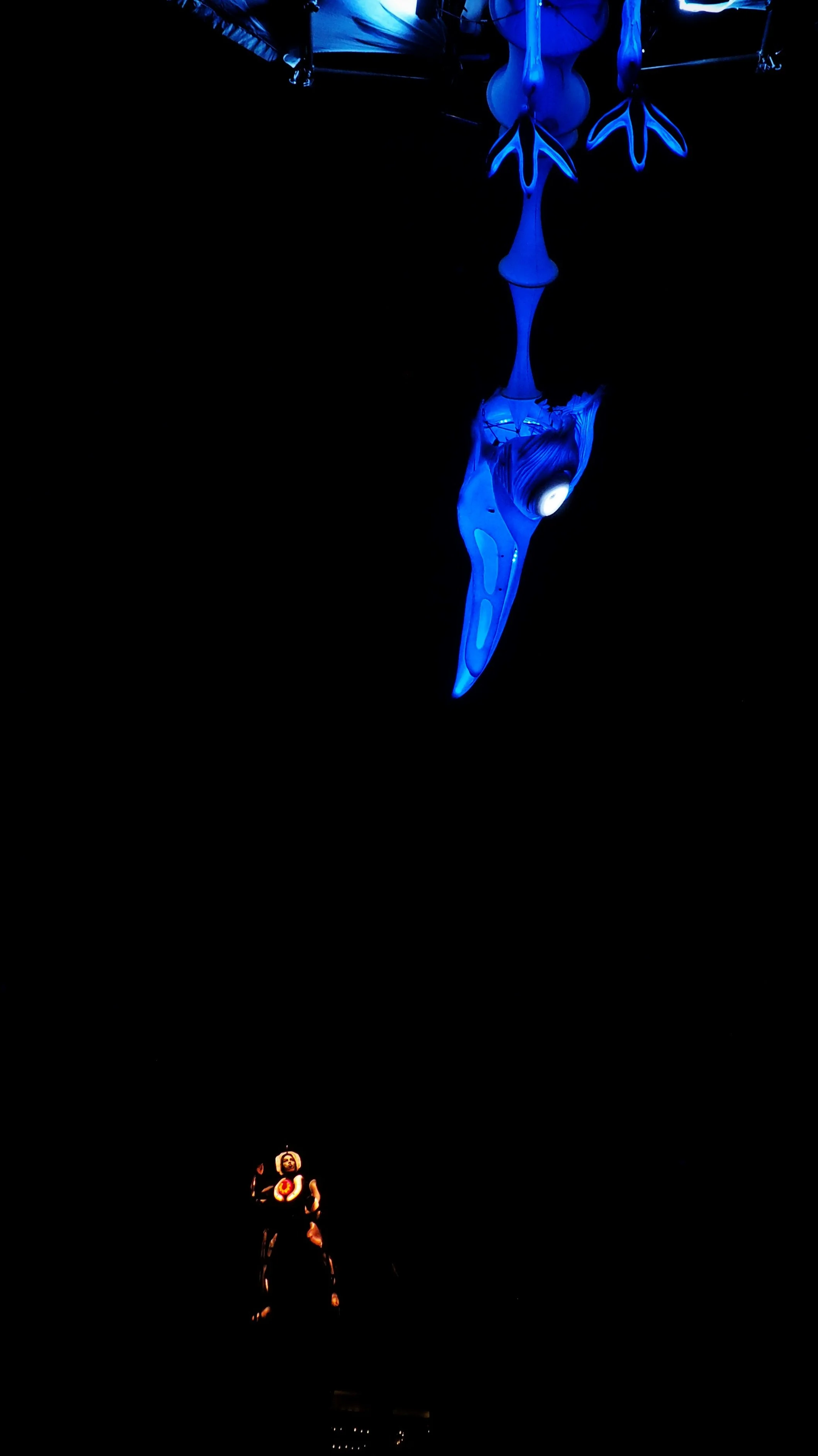 Illuminated sculptures of a blue bird and a robotic figure against a dark background, with bright lights highlighting their features.