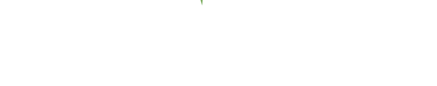 Lisanne Keijzer
